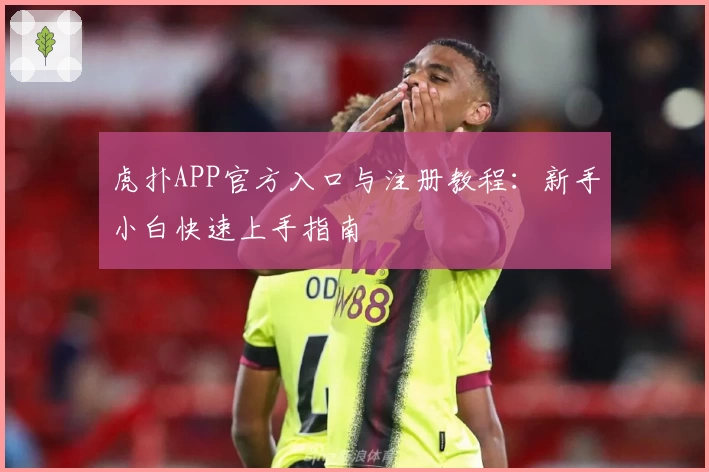 虎扑APP官方入口与注册教程：新手小白快速上手指南